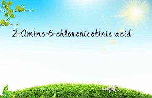 2-Amino-6-chloronicotinic acid