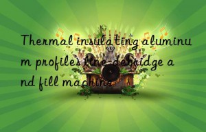 Thermal insulating aluminum profiles line-debridge and fill machine