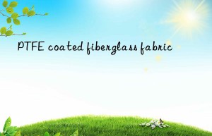 PTFE coated fiberglass fabric