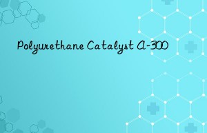 Polyurethane Catalyst A-300