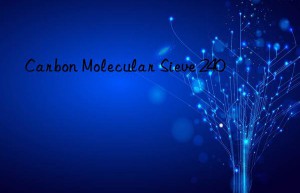 Carbon Molecular Sieve 240