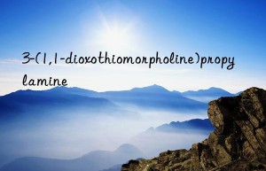 3-(1,1-dioxothiomorpholine)propylamine