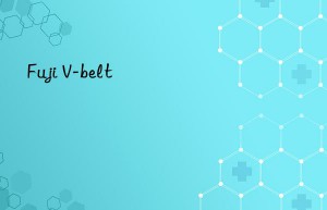 Fuji V-belt