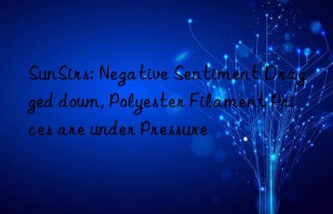 SunSirs: Negative Sentiment Dragged down, Polyester Filament Prices are under Pressure