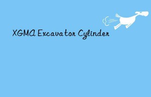 XGMA Excavator Cylinder