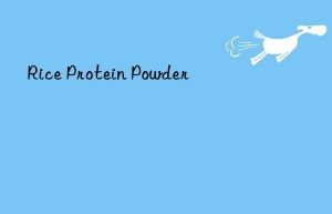 Rice Protein Powder