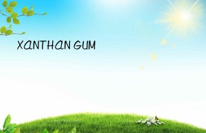 XANTHAN GUM