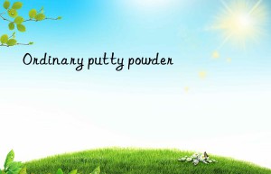 Ordinary putty powder