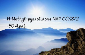 N-Methyl-pyrrolidone NMP CAS872-50-4.pdf