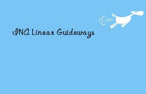 INA Linear Guideways