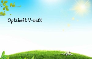 Optibelt V-belt