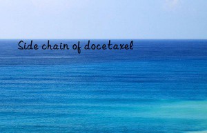 Side chain of docetaxel