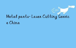 Metal parts- Laser Cutting Service China