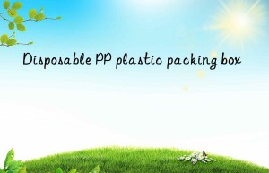 Disposable PP plastic packing box