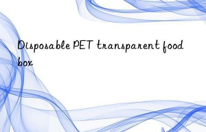 Disposable PET transparent food box