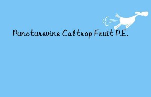 Puncturevine Caltrop Fruit P.E.