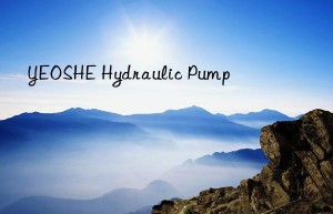 YEOSHE Hydraulic Pump