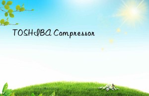 TOSHIBA Compressor