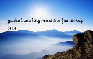 gasket sealing machine for wordpiece