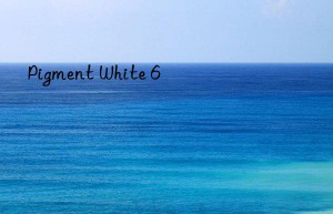 Pigment White 6