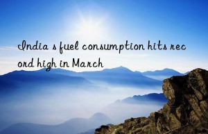 India s fuel consumption hits record high in March