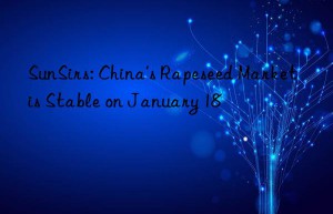 SunSirs: China’s Rapeseed Market is Stable on January 18