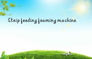 Strip feeding foaming machine