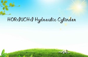 HORIUCHI Hydraulic Cylinder