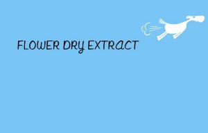 FLOWER DRY EXTRACT