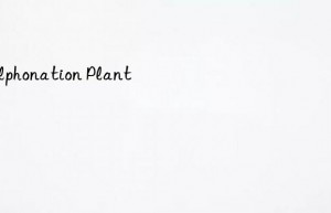 Sulphonation Plant