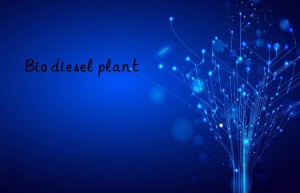 Bio diesel plant