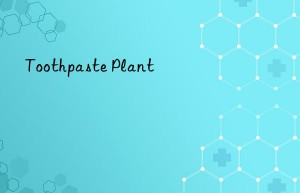 Toothpaste Plant