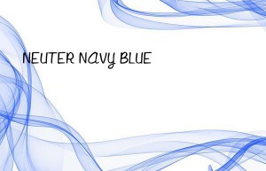 NEUTER NAVY BLUE