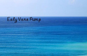 Ealy Vane Pump