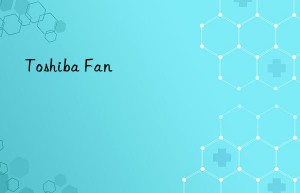 Toshiba Fan