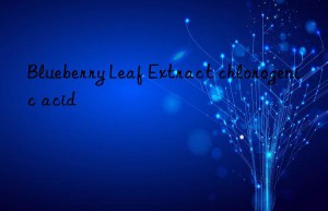 Blueberry Leaf Extract chlorogenic acid