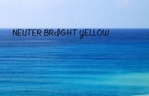 NEUTER BRIGHT YELLOW