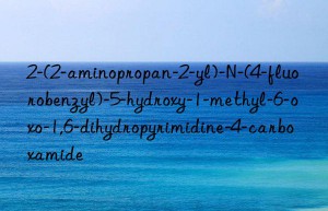 2-(2-aminopropan-2-yl)-N-(4-fluorobenzyl)-5-hydroxy-1-methyl-6-oxo-1,6-dihydropyrimidine-4-carboxamide