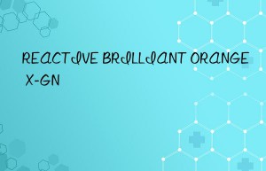 REACTIVE BRILLIANT ORANGE X-GN