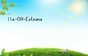 11a-OH-Estrone