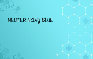 NEUTER NAVY BLUE