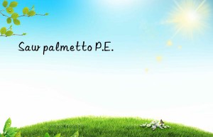 Saw palmetto P.E.