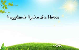 Hagglunds Hydraulic Motor