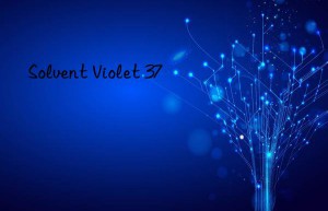 Solvent Violet 37