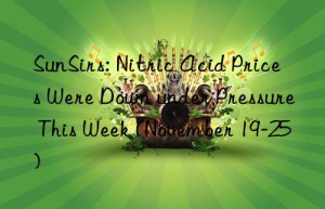 SunSirs: Nitric Acid Prices Were Down under Pressure This Week (November 19-25)