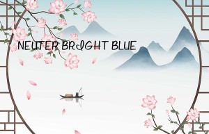 NEUTER BRIGHT BLUE