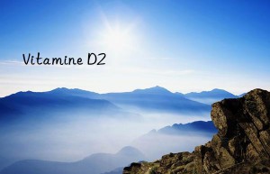 Vitamine D2