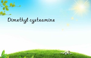 Dimethyl cysteamine