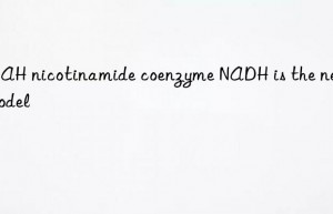 BNAH nicotinamide coenzyme NADH is the new model