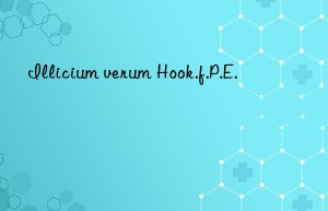 Illicium verum Hook.f.P.E.